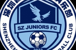 深圳青年人总经理：希望如大家愿，明年有中超深圳德比