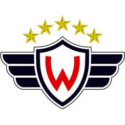 维尔斯特曼 logo