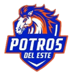 科斯塔埃斯特角 logo