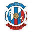 纳查德德斯特恩 logo