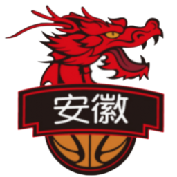 安徽皖江龙 logo