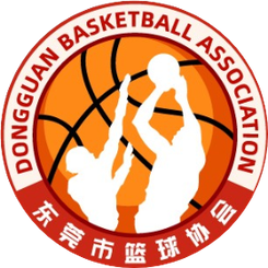 东莞队 logo