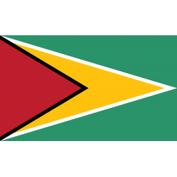 圭亚那女足 logo