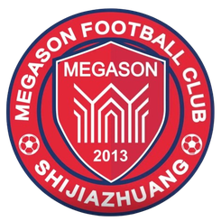 石家庄美佳晟 logo