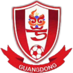 广东广州数科女足 logo