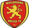 卧龙岗联 logo
